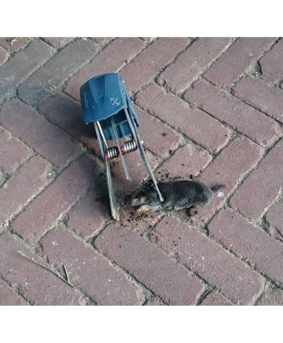 Capcana cartite fara momeala, Swissinno SuperCat Mole Trap [5]