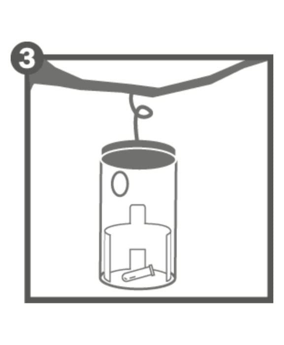 Capcana cu feromoni pentru molii arbusti Buxus, Swissinno Box Tree Moth [9]