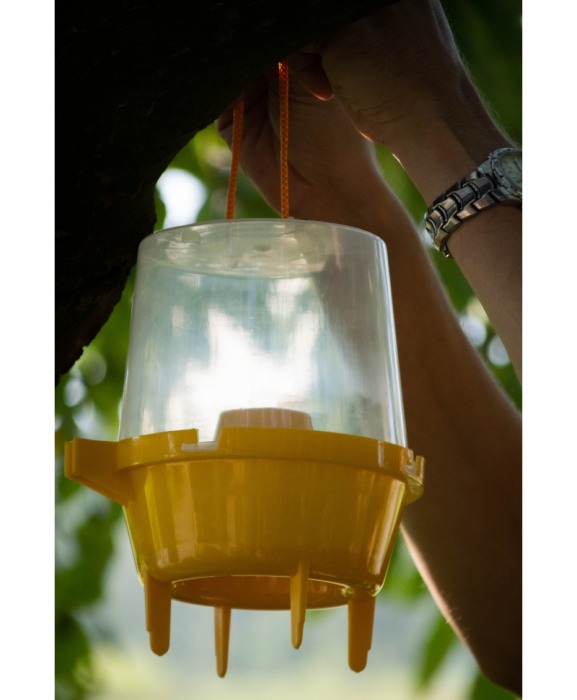 Capcana cu momeala pentru viespi, Knock Off Wasp Trap [2]