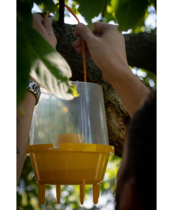 Capcana cu momeala pentru viespi, Knock Off Wasp Trap [3]