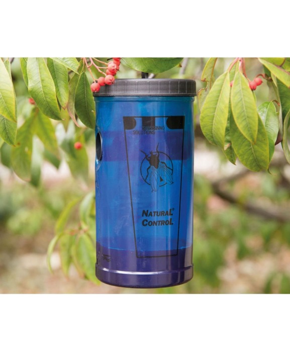 Capcana muste cu momeala, Swissinno Natural Control [6]