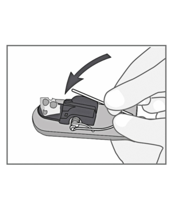 Capcana soareci fara momeala, lemn FSC, Swissinno SuperCat, set 2 bucati [3]