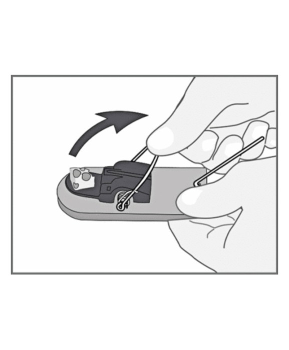 Capcana soareci fara momeala, lemn FSC, Swissinno SuperCat, set 2 bucati [4]