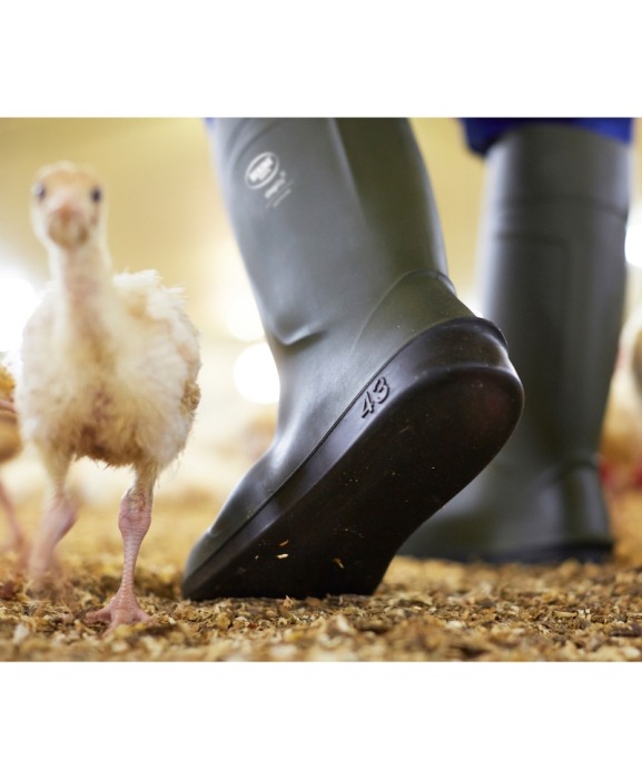 Cizme protectie Bekina Steplite EasyClean, O4 cu talpa plata, verde/negru [13]