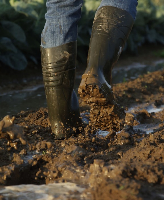 Cizme protectie Bekina StepliteX SolidGrip, S4, verde/negru [17]