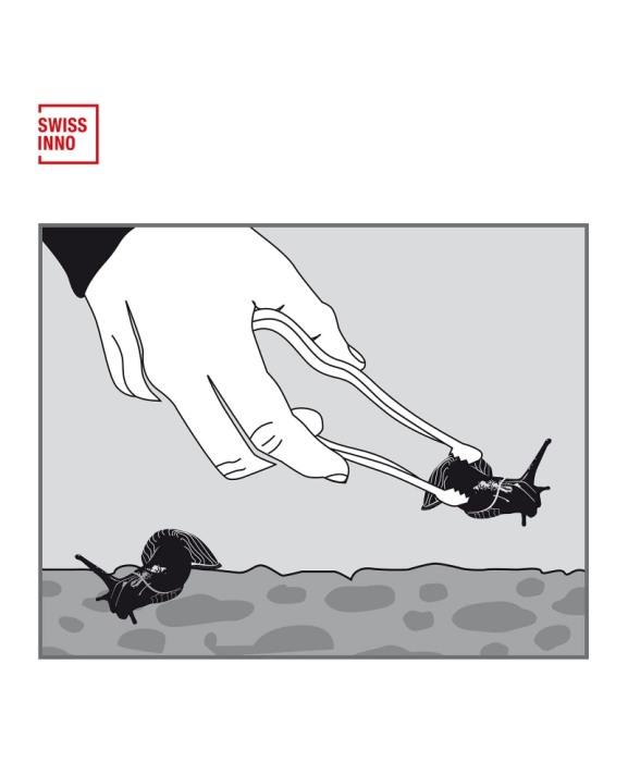 Clesti plastic pentru imprejmuire protectie plante impotriva melcilor Swissinno Slug Barrier, set 2 bucati [2]