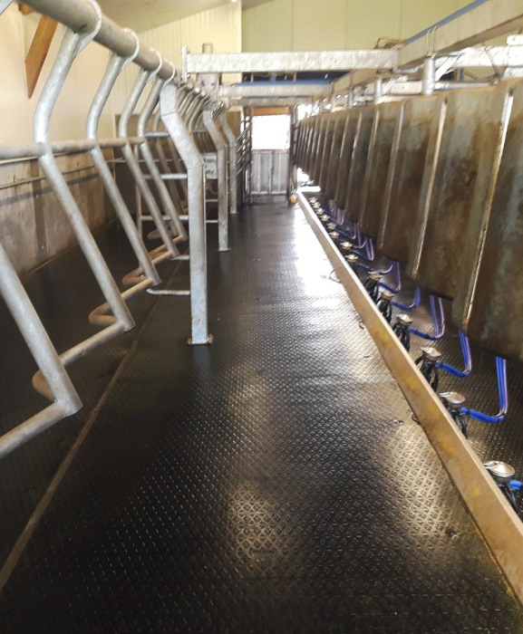 Covor de trafic din cauciuc, Bioret DELTA DIAM, 16mm grosime [3]