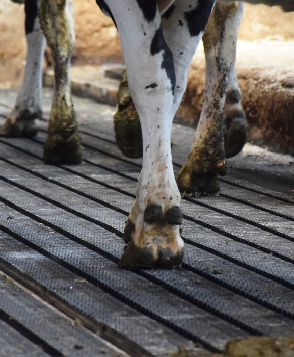 Covor de trafic din cauciuc cu canale de scurgere, Bioret MAGELLAN, 16mm grosime [3]