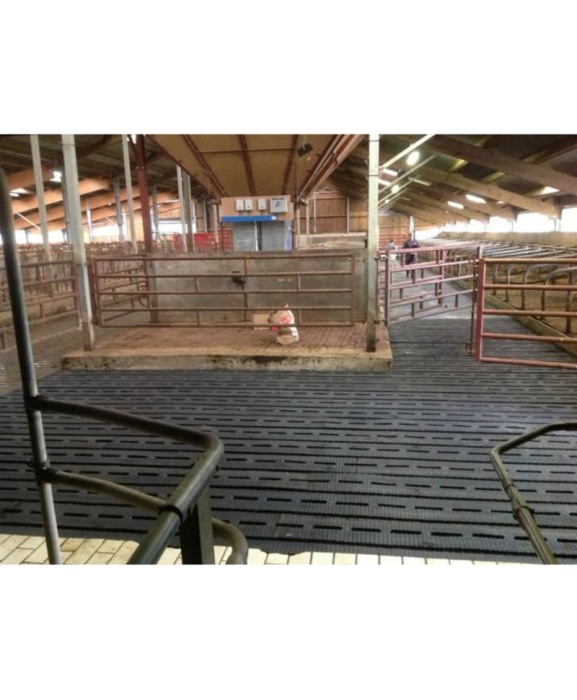 Covor de trafic din cauciuc pentru aleile cu gratare de beton, Bioret DeltaDiam 16 Type PANAMA, 16mm grosime [4]