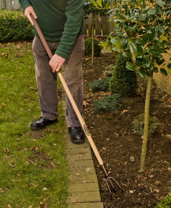 Cultivator cu 3 dinti din otel carbon, coada lemn, Spear & Jackson Elements [7]