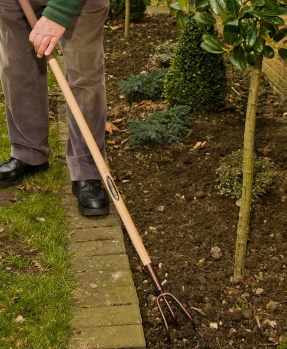 Cultivator cu 3 dinti din otel carbon, coada lemn, Spear & Jackson Elements [6]