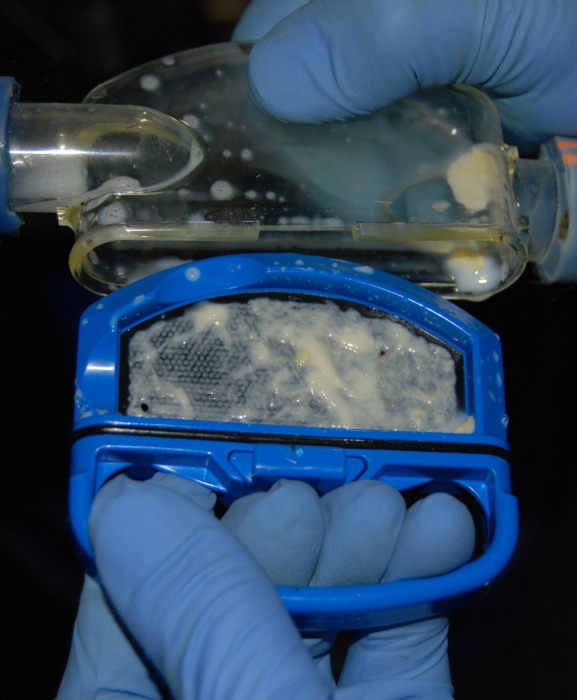 Detector vizual mastita, Ambic Vision 16 [6]