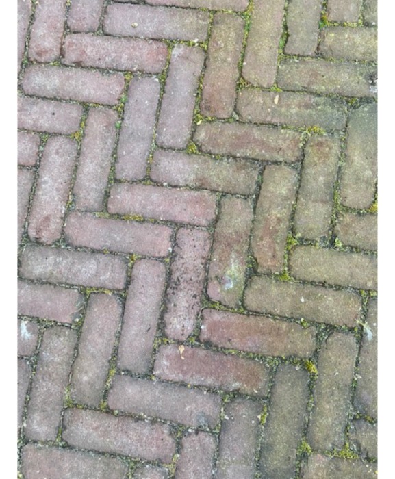 Detergent suprafete, Excellent Green Clear, bidon 5 litri [2]