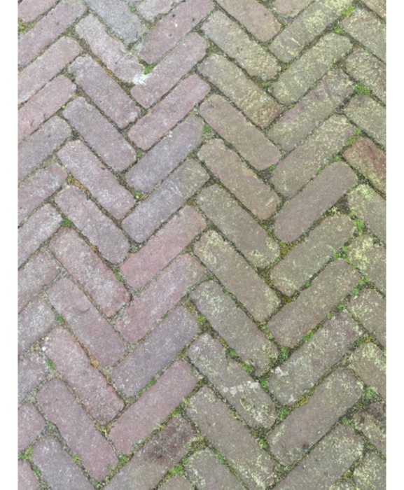 Detergent suprafete, Excellent Green Clear, bidon 5 litri [3]