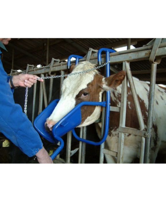 Dispozitiv pentru imobilizarea capului vacii pentru administrarea medicamentelor, VINK [2]