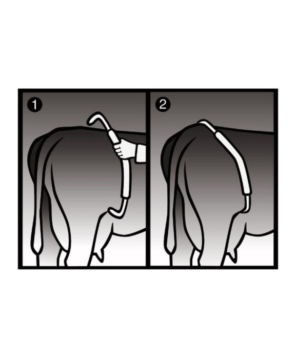 Dispozitiv reglabil impotriva lovirii cu piciorul la vaci, Vink [4]