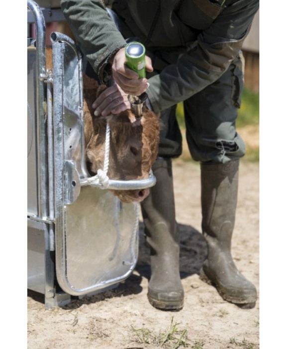 Ecornator cu gaz Express Farming Alios [6]