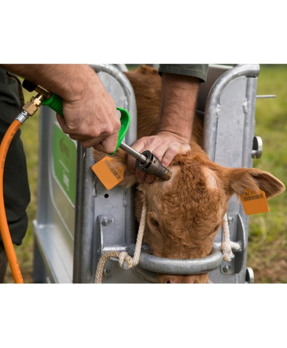 Ecornator cu gaz Express Farming Daos pentru butelie gaz [4]