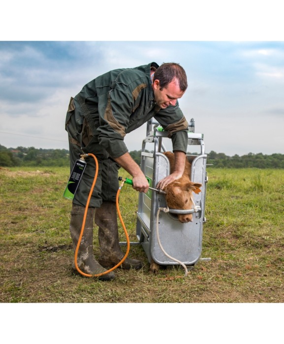 Ecornator cu gaz Express Farming Daos pentru cartus de gaz [4]