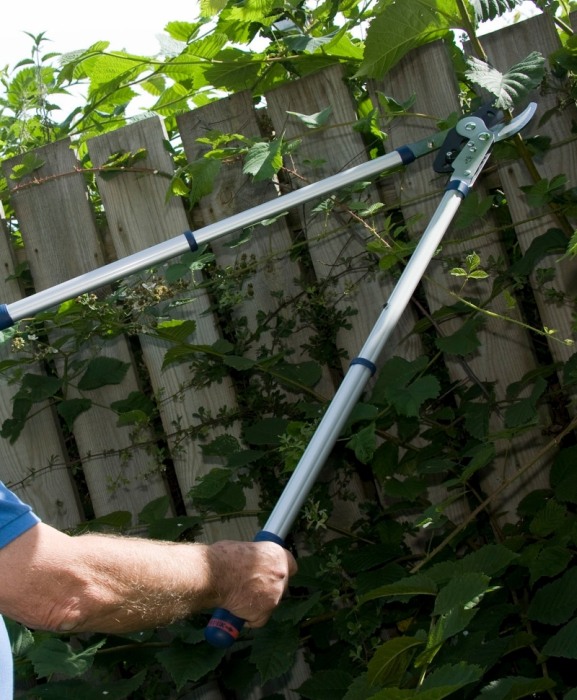 Foarfeca crengi tip bypass cu lama otel carbon C50, manere telescopice, Spear & Jackson Razorsharp Advantage [2]