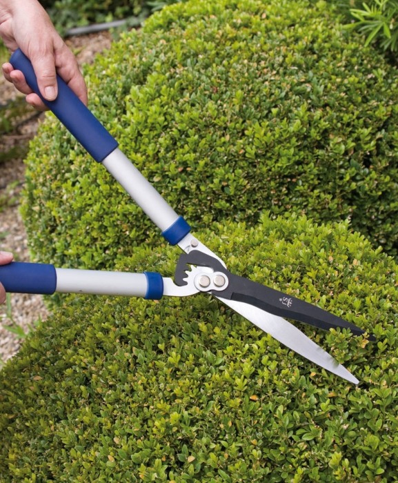 Foarfeca gard viu cu lama otel carbon C50 cu teflon, Spear & Jackson Razorsharp Advance [2]