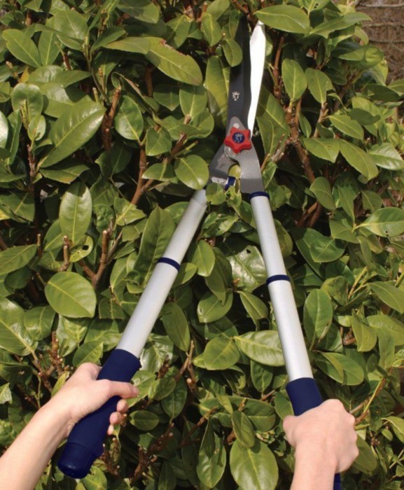 Foarfeca gard viu telescopiva cu lama otel carbon cu teflon, manere de aluminiu, Spear & Jackson Razorsharp Advantage [4]