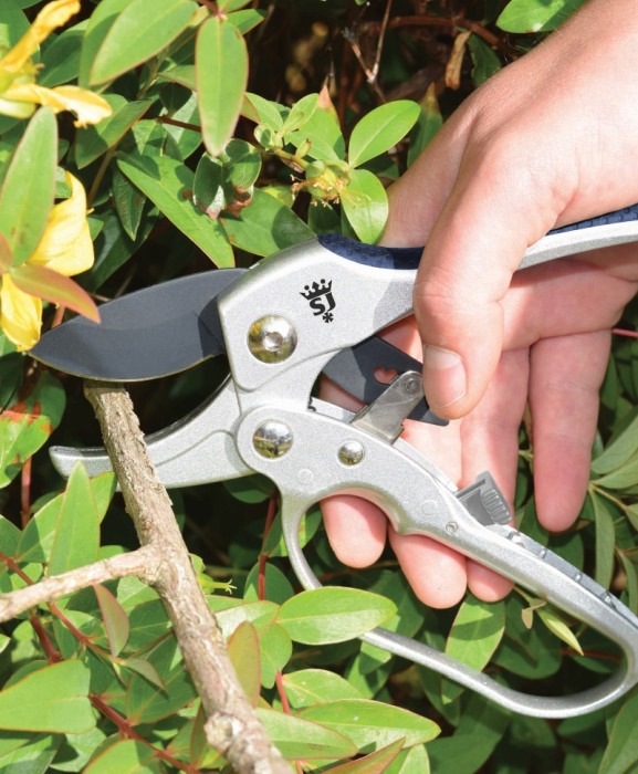 Foarfeca gradina tip nicovala, compacta cu clichet, lama otel SK5 cu teflon, Spear & Jackson Razorsharp Advance [2]