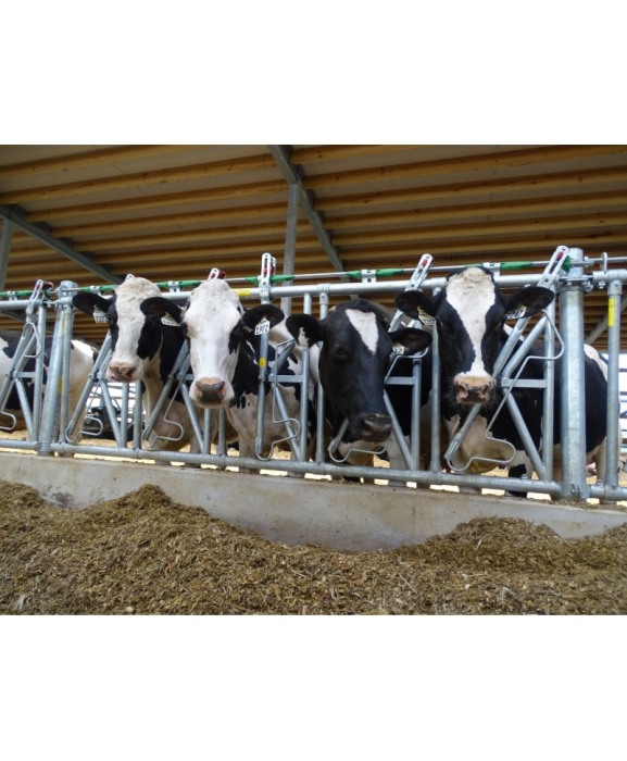 Front furajare autoblocant, Jourdain  Safety IV, ajustabil [2]