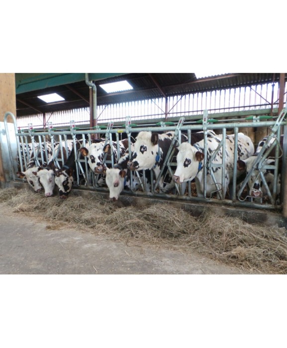 Front furajare autoblocant, Jourdain  Safety IV, ajustabil [6]