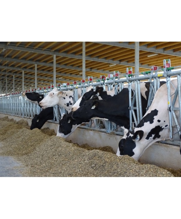 Front furajare autoblocant, Jourdain  Safety IV, ajustabil [4]