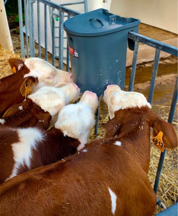 Galeata cu 5 tetine pentru alaptarea viteilor, Milk Bar, 15l cu suport de prindere si carlige de fixare [4]