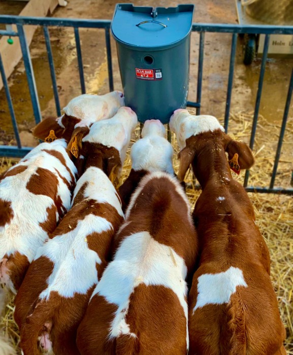 Galeata cu 5 tetine pentru alaptarea viteilor, Milk Bar, 15l cu suport de prindere si carlige de fixare [5]