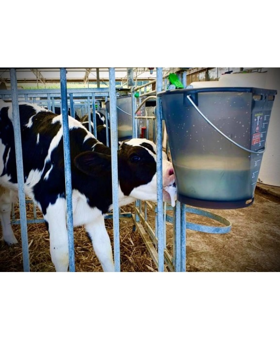 Galeata cu tetina pentru alaptarea viteilor, Milk Bar, 9l, semitransparenta, cu maner metalic [4]