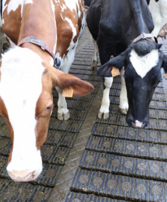 Gratar beton Cobefa Bovi-Flexx [10]