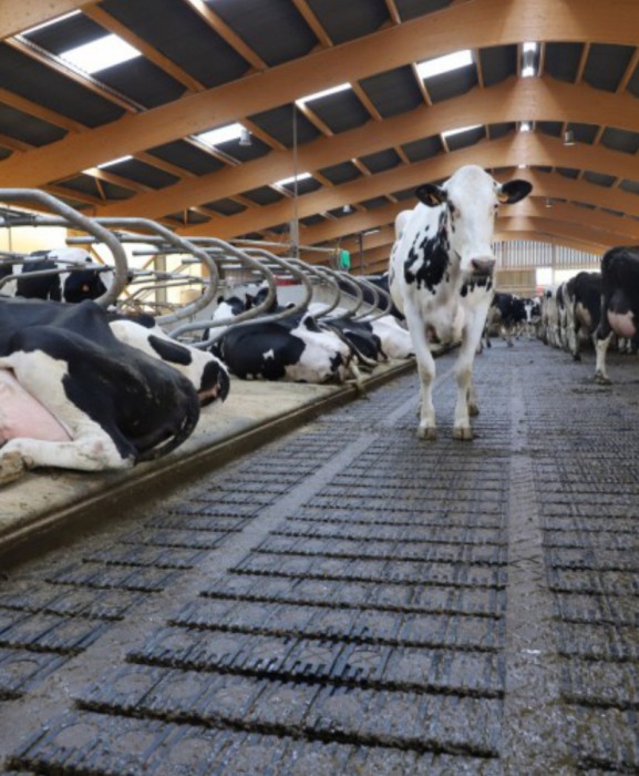 Gratar beton Cobefa Bovi-Flexx [4]