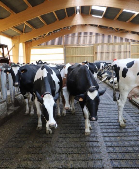 Gratar beton Cobefa Bovi-Flexx [9]