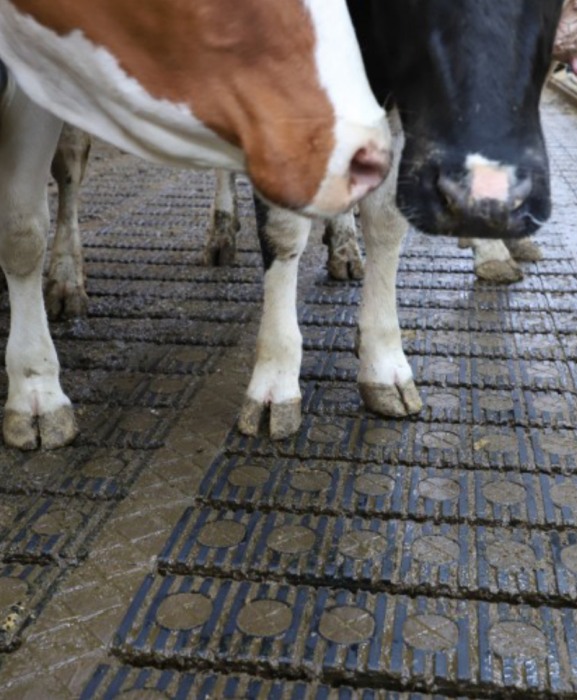 Gratar beton Cobefa Bovi-Flexx [7]