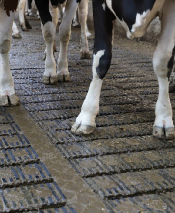 Gratar beton Cobefa Bovi-Flexx [6]