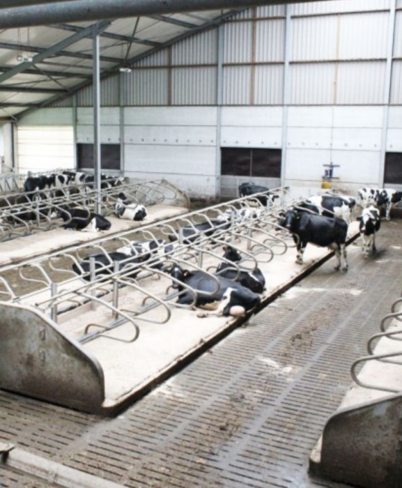 Gratar beton, Cobefa Bovi-Pro, H18 [8]