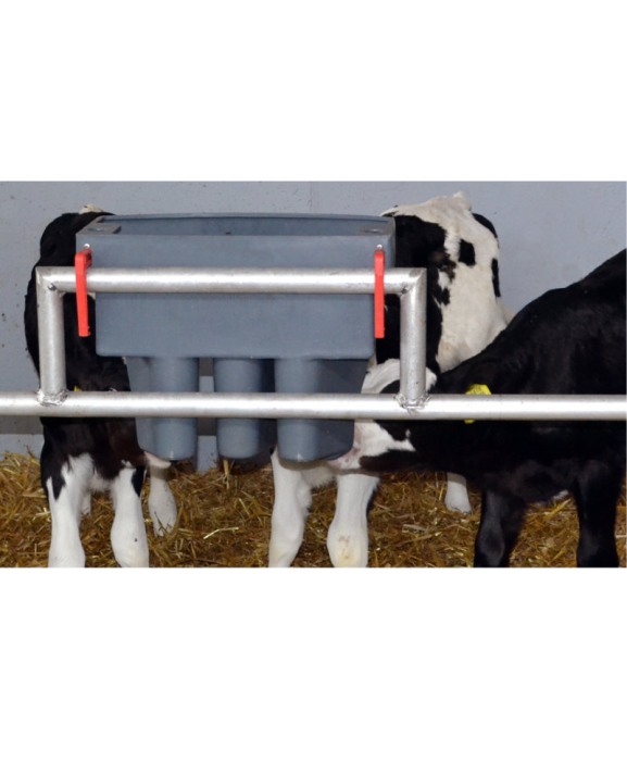 Hranitoare compartimentata vitei cu 3 tetine, Milk Bar, cu carlige de fixare Ezi Lock [2]