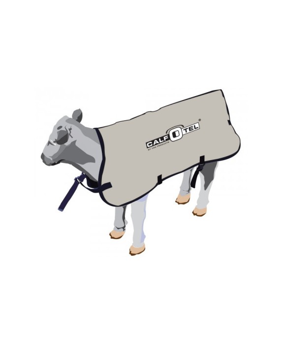 Jacheta vitei CalfOTel [2]