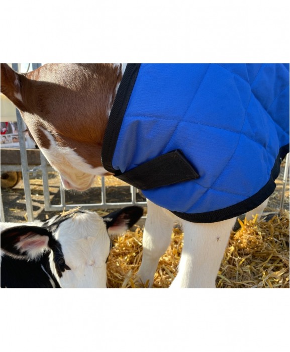 Jacheta vitei H&L, pentru sezonul rece [2]