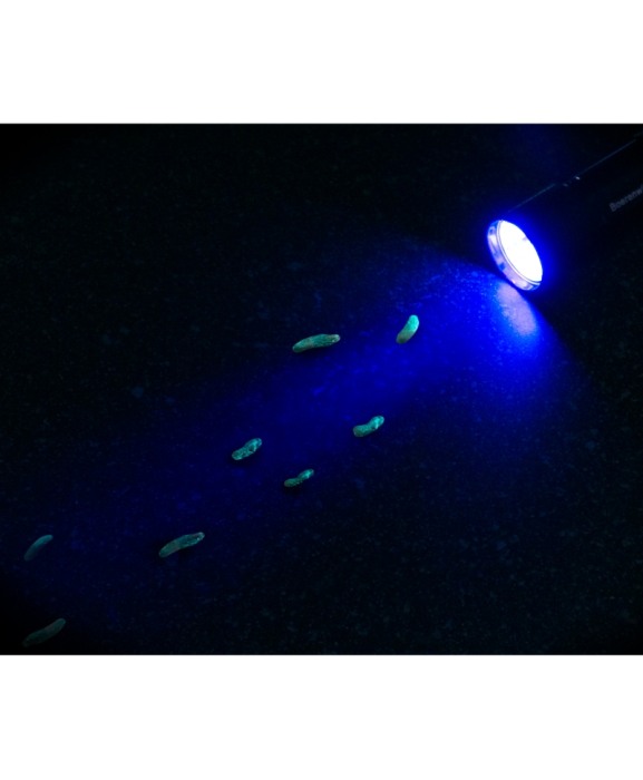 Lanterna cu leduri UV, Knock Off [2]