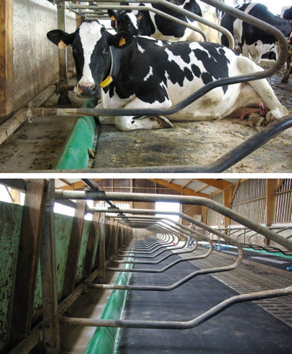 Limitator de capat pentru cusete Bioret ATLAS [4]