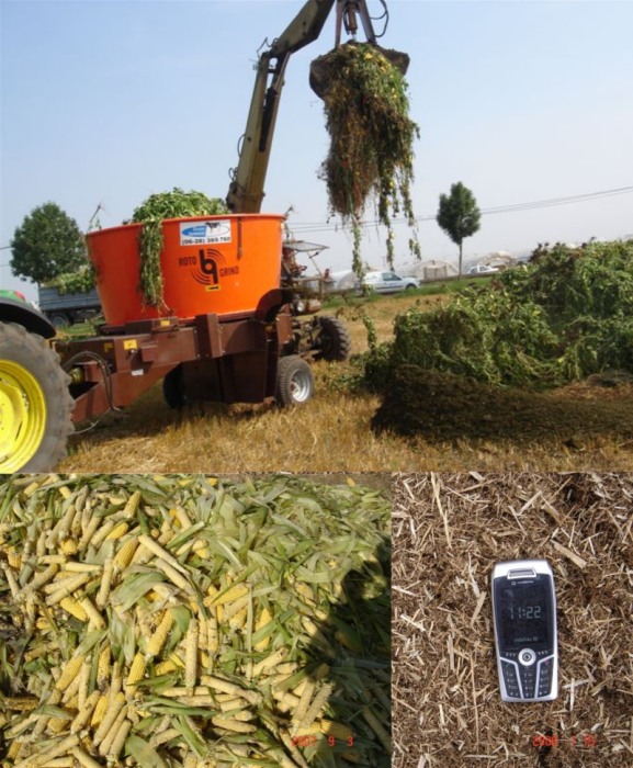 Masina de macinat universala cu cuva rotativa Roto Grind [4]