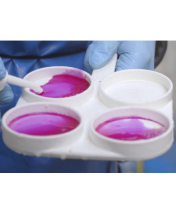 Paleta pentru testul de mastita, CMT [3]