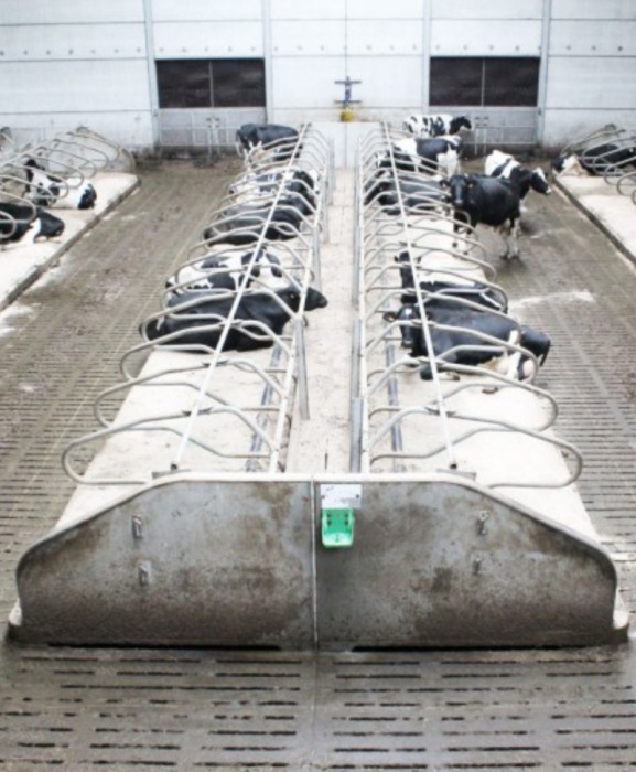 Perete de capat cusete beton, Cobefa End Wall, H12 [4]