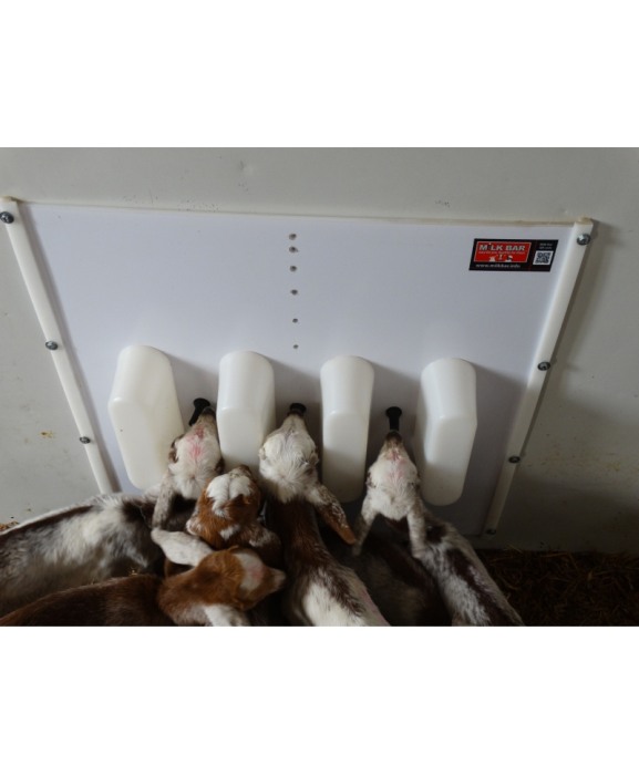 Perete separator Milk Bar pentru sisteme automate de alaptare iezi [8]