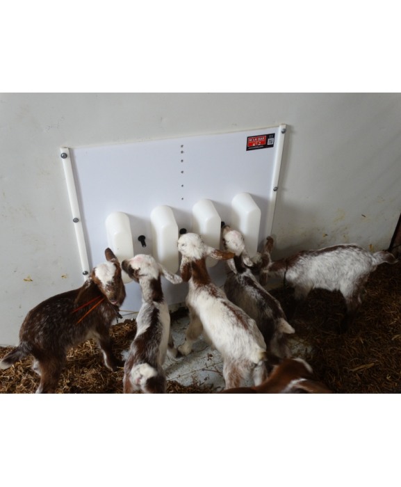 Perete separator Milk Bar pentru sisteme automate de alaptare iezi [7]