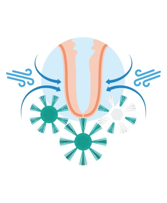 Perie curatare mameloane Northern Sanicleanse [8]